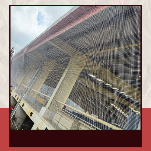 Bird Net for Auditoriums